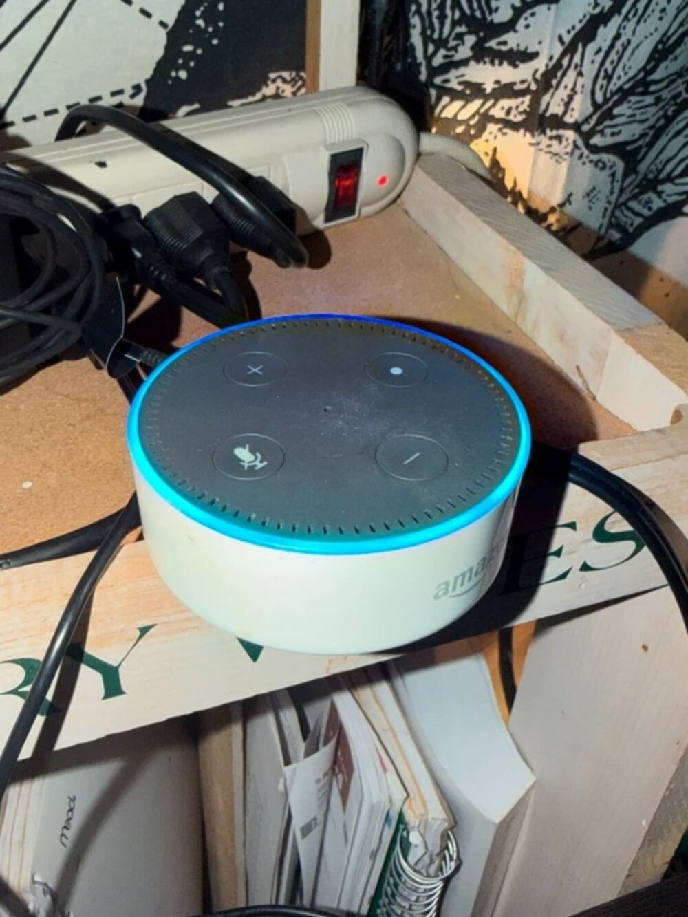White Amazon Echo Dot